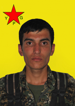 KURDO AMED
