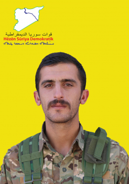 QEHREMAN QAMIŞLO
