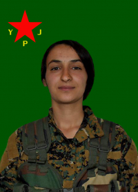 ÇEM ROJHILAT
