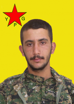 QEHREMAN QAMIŞLO