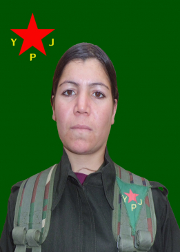 DİCLE KOBANÊ