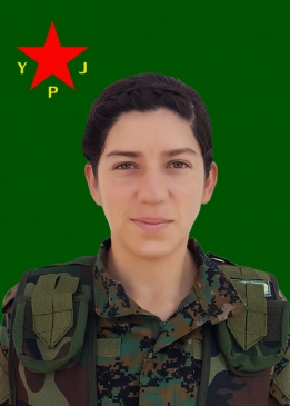 ARİN QAMIŞLO