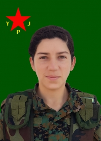 ARİN QAMIŞLO