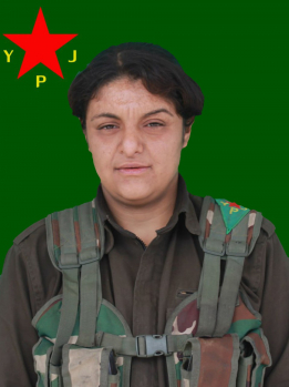 HÎRA EFRÎN