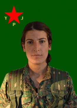 AVAŞİN ADIL