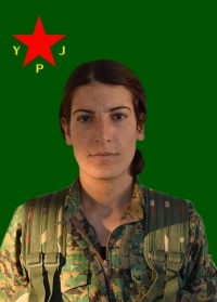 AVAŞİN ADIL