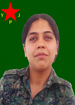 ŞÎLAN KOBANÊ