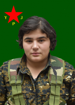 JÎNDAR PEKREWAN
