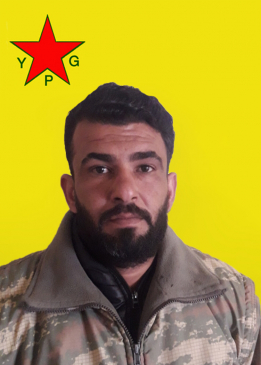 ELÎ QAMIŞLO