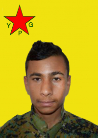 LEYS ZEDÎ