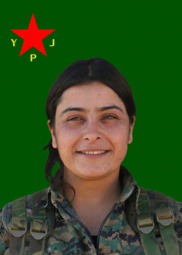 ROS&Icirc;DA ZAGROS