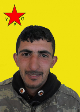 AGIRÎ QAMIŞLO