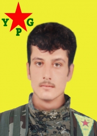 ARGEŞ QAMIŞLO