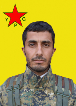 ERDAL BEXDAD
