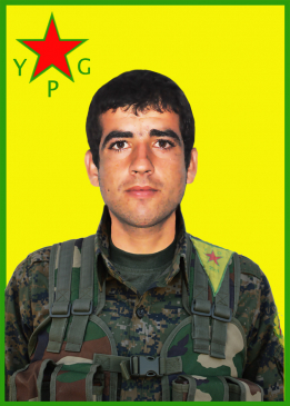 ÇEKDAR AMED