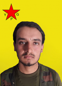 ŞAHÎN SERÊKANÎ