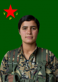 BERÇEM GIRÊSPİ