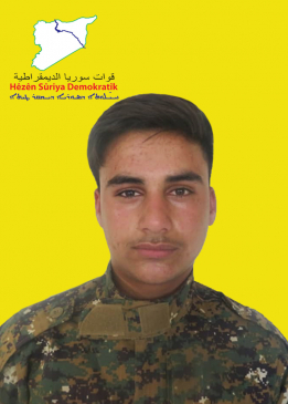 HANÎ SEREKANÎ