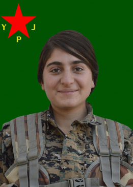 Z&Icirc;LAN ROJ