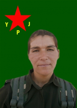 BERFÎN KOBANÊ