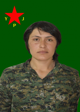 DELÎLA GEVER