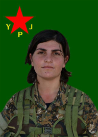 BERFÎN ZÎLAN