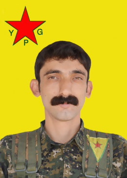 ÊRÎŞ TORÎ