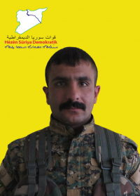 ŞERVAN QAMIŞLO
