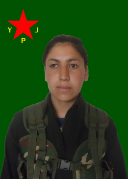 ROJ QEREMOX