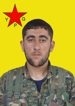 ŞERVAN KO&Ccedil;ER