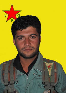 MEHRAN HELINC