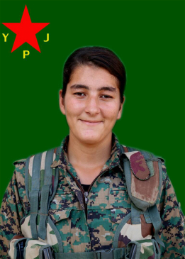 DOZA &Ccedil;IYA
