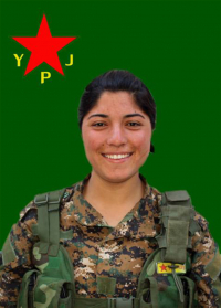 RÊVANA ROJAVA