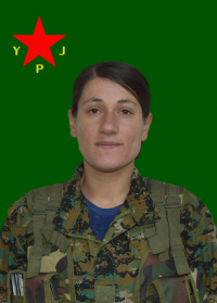 SARÎNA ZAGROS