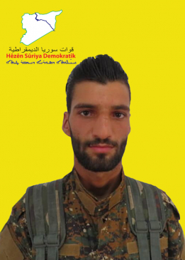 ELÎ QAMIŞLO