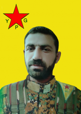 C&Icirc;HAD QAMIŞLO