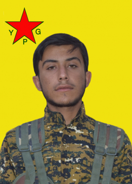 DANYAL SEREKAN&Icirc;