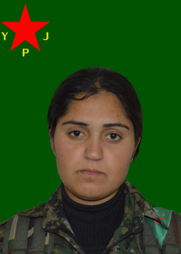 JIYANDA DIRBÊSIYÊ
