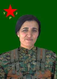 WARŞÎN CÛDÎ