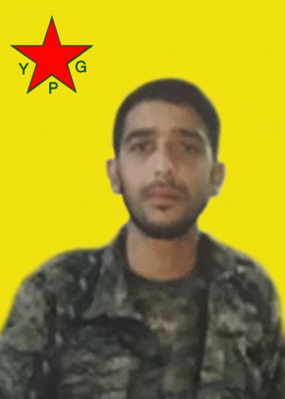 RIZGAR AMED