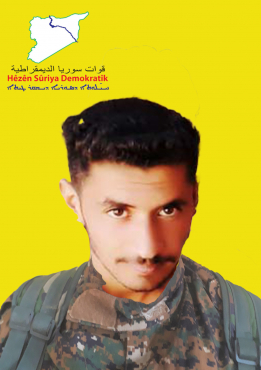 ELÎ ŞEDADÊ