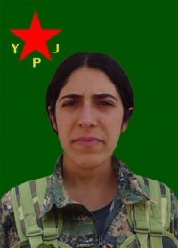 ARJÎN ZÎLAN