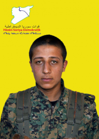 ŞIYAR EFRÎN