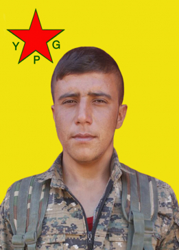 KEMAL ECACE