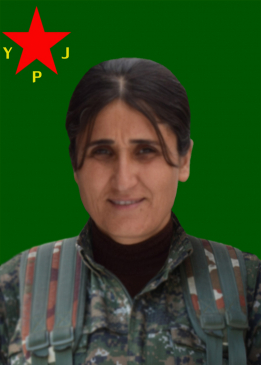 ŞEV&Icirc;N GARZAN