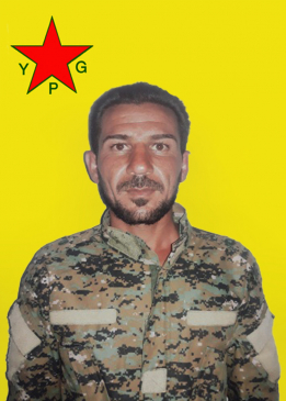KADOS ŞEDADE