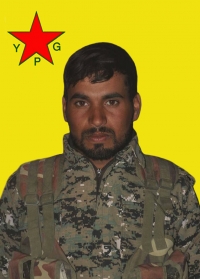 AMED BELQİS