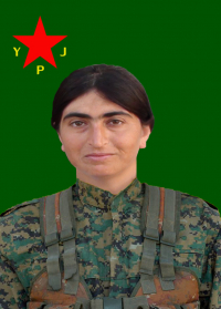 JIYAN EHRES