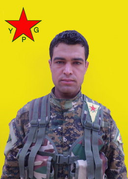 ŞIYAR GIRÊSIPÎ