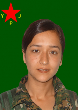 HEDAR MEYASER AMED